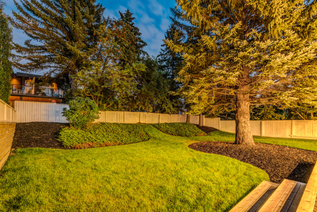Backyard landscaping with large trees and privacy fence