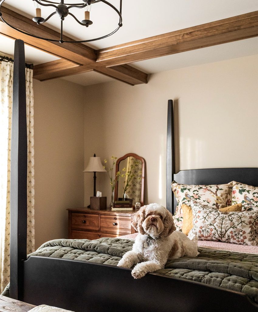 A dog sitting on a bed in a newly decorated home.
